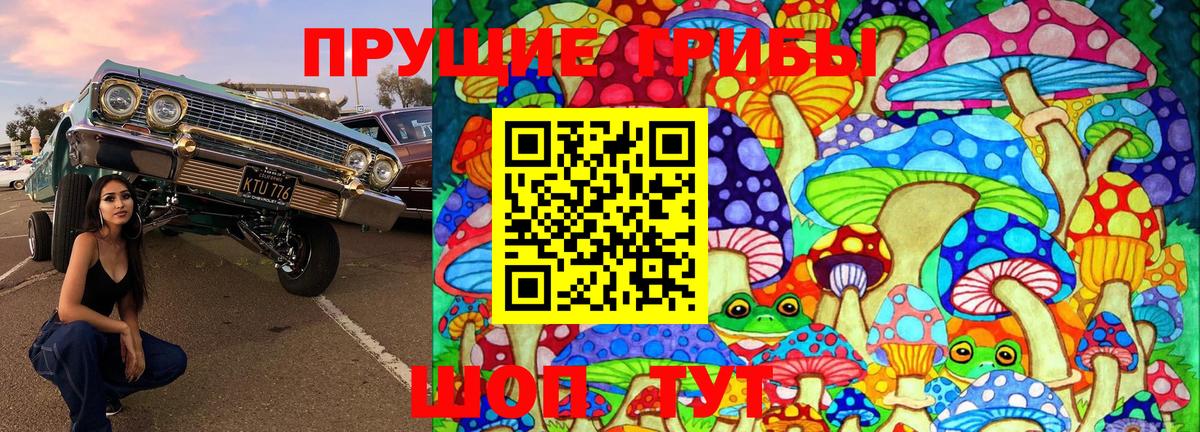 Псилоцибиновые грибы Cubensis  Вход с VPN  Кузнецк 
